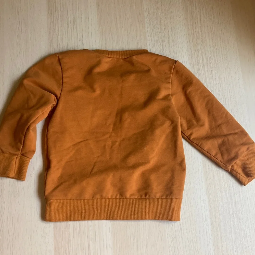 Size 24 month Pumpkin Patch Kids Rust Orange Crewneck Sweatshirt, Cotton Fall